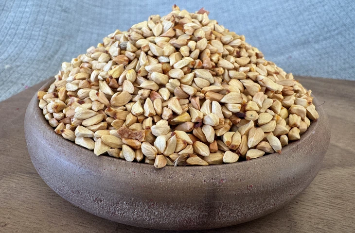 Kuşburnu çekirdeği