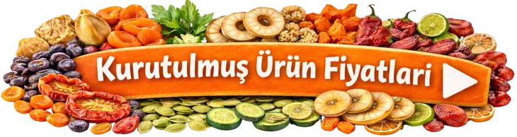 Kurutulmuş Meyve ve Sebze Fiyatları